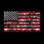 LA-Pop-Art-Women_27s-Premium-Blend-Word-Art-T-shirt-Fireworks-American-Flag_f441e0c2-ef9c-42d5-ade1-0e8d42cb1283